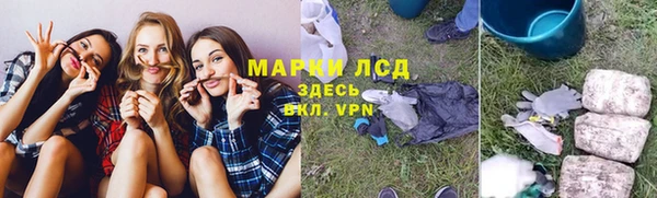 сатива Пестово