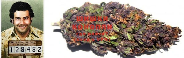 гидропоника Алзамай