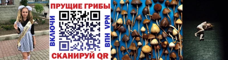 как найти   Шумерля  Галлюциногенные грибы прущие грибы 