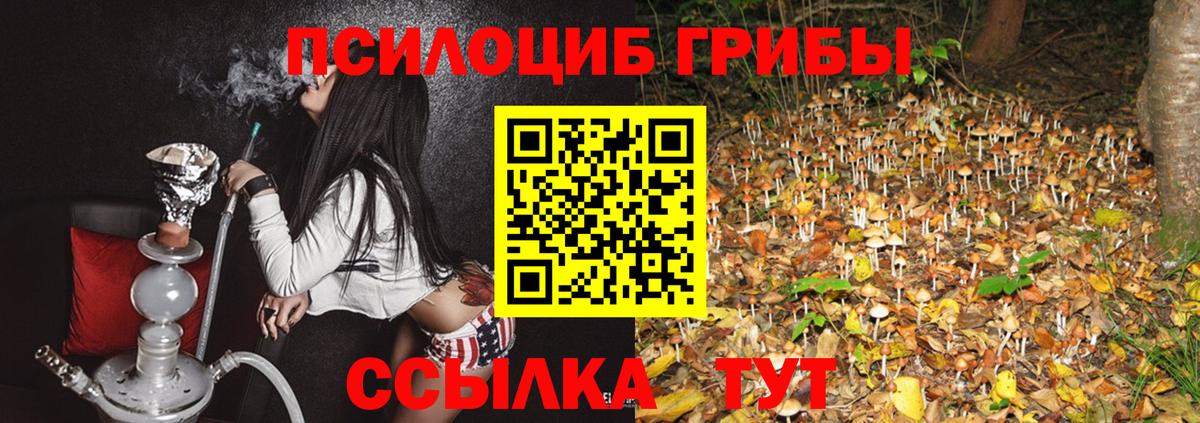 Галлюциногенные грибы мицелий Шумерля