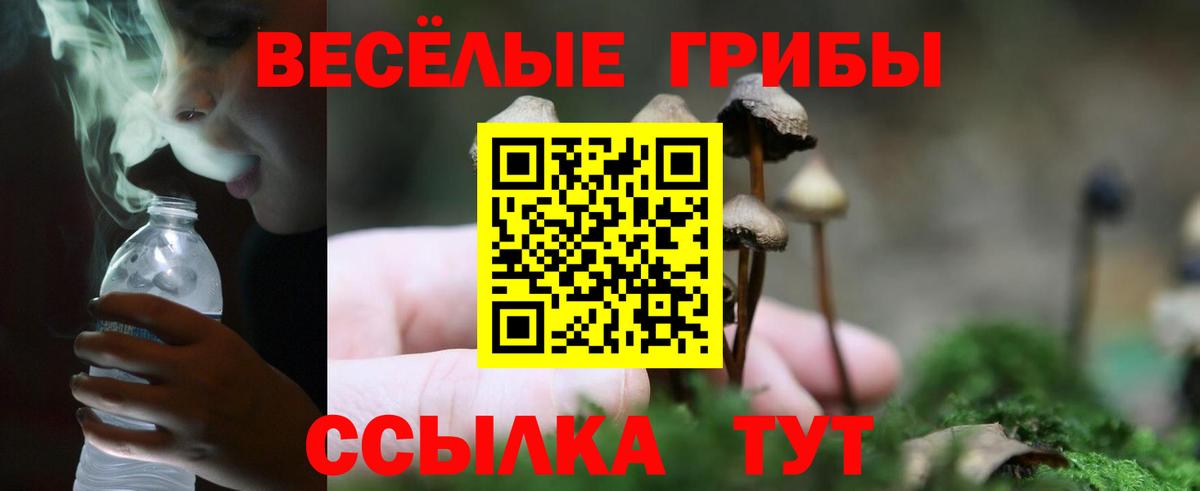 Шумерля  Галлюциногенные грибы Magic Shrooms  Вход с VPN 