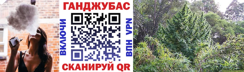 Бошки Шишки VHQ  Шумерля 